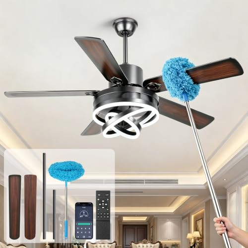 Ceiling Fans with Lights