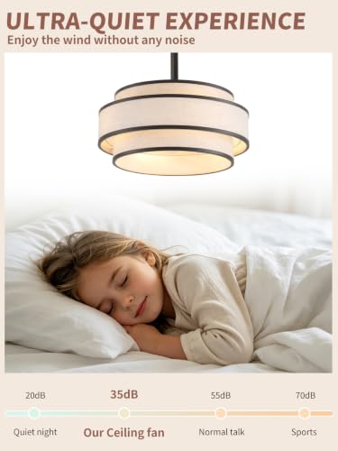 Boho Caged Fandelier Ceiling Fans with Lights