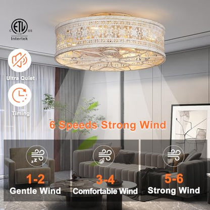 Caged Ceiling Fan with Light
