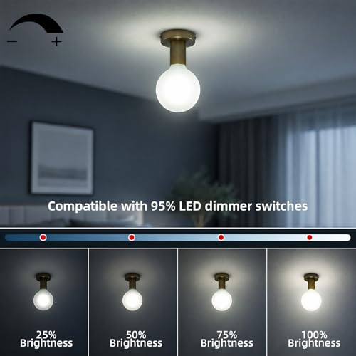 Large Globe Light Bulbs 60 Watt Equivalent (6w-5000k)