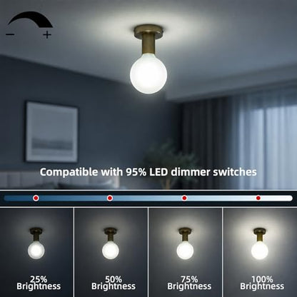 Large Globe Light Bulbs 60 Watt Equivalent (6w-5000k)