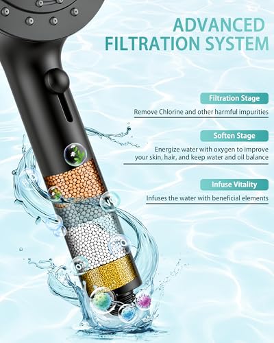 Filtered Shower Head with Handheld