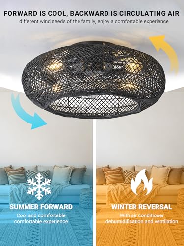 ceiling fan