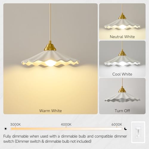Ceramic Pendant Light
