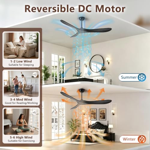 Wood Ceiling Fan 3 Blades Ceiling Fan for Indoor