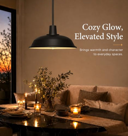 Indoor Pendant Light