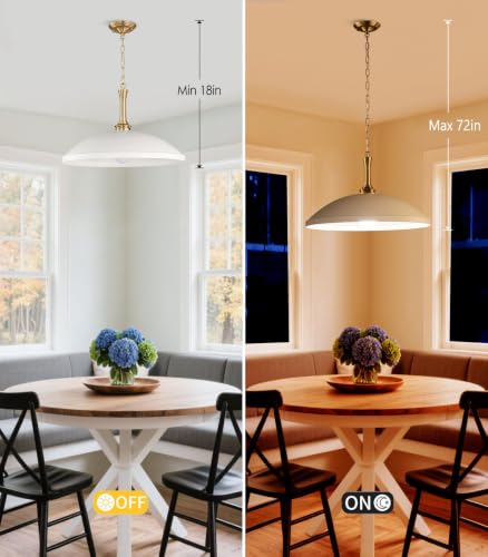 1 Light Pendant Light Fixture