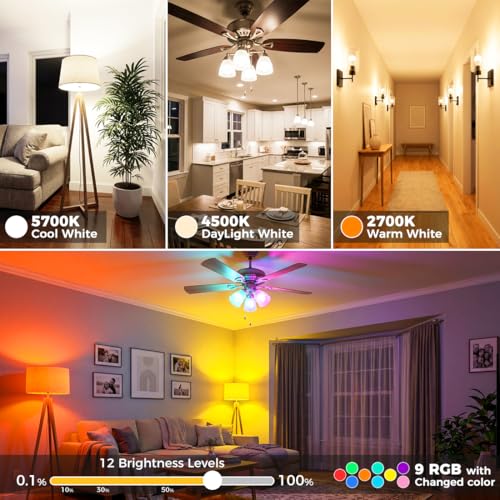 12W Led Light Bulbs with Remote 1200LM