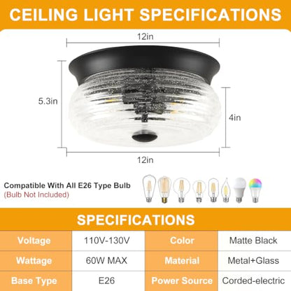 Flush Mount Ceiling Light Fixtures