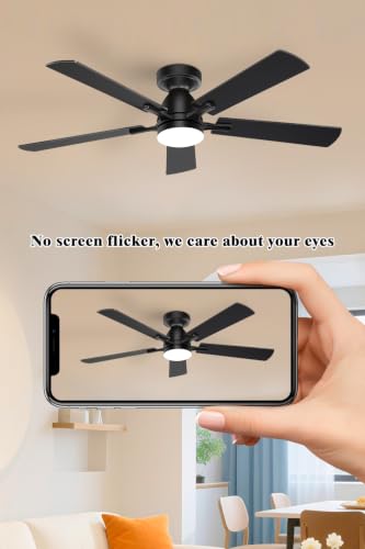 Ceiling Fan with Light