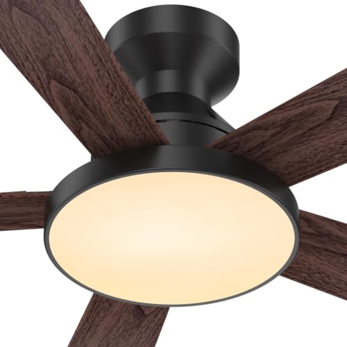 Ceiling Fans with Lights