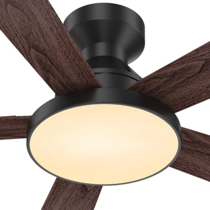 Ceiling Fans with Lights
