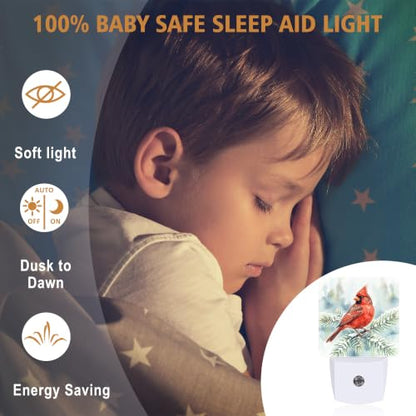 Night Lights Plug into Wall (Cardinal B)