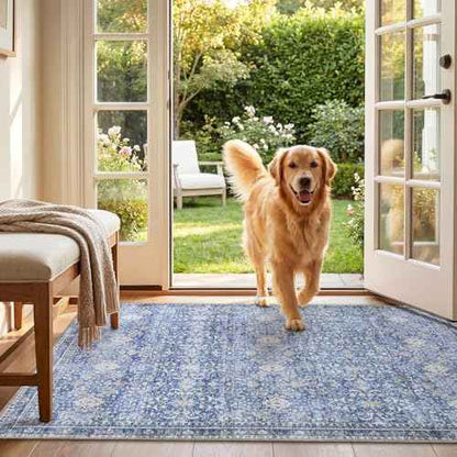 3x5 Area Rugs (Blue / 3' x 5' (Rectangular))