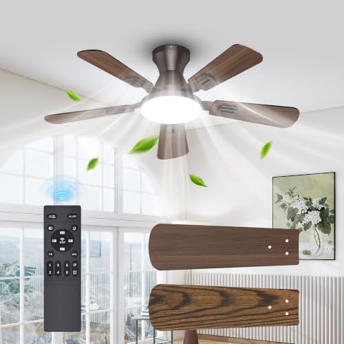 Ceiling Fans with Lights