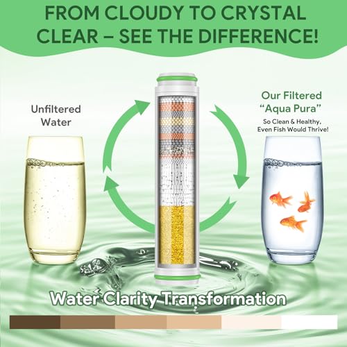 Replacement Filters Compatible With PWERAN Handheld Shower Head