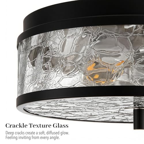 12 Inch Flush Mount Ceiling Light
