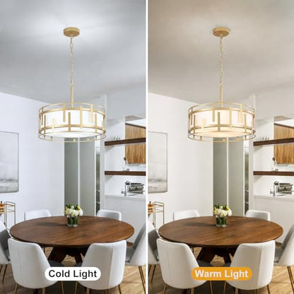 17.7" Drum Chandelier for Dining Room