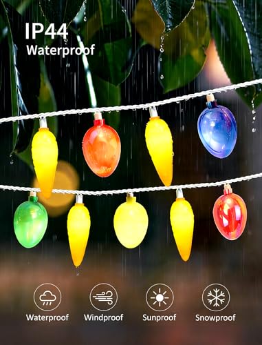 12FT 20 LED Outdoor String Lights