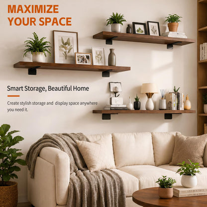 Shelf Brackets (12inch)
