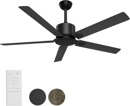 Black Ceiling Fan