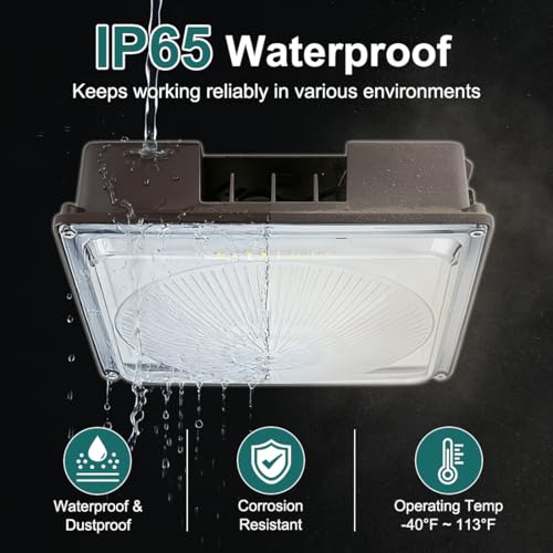 60W LED Canopy Light for Gas Station