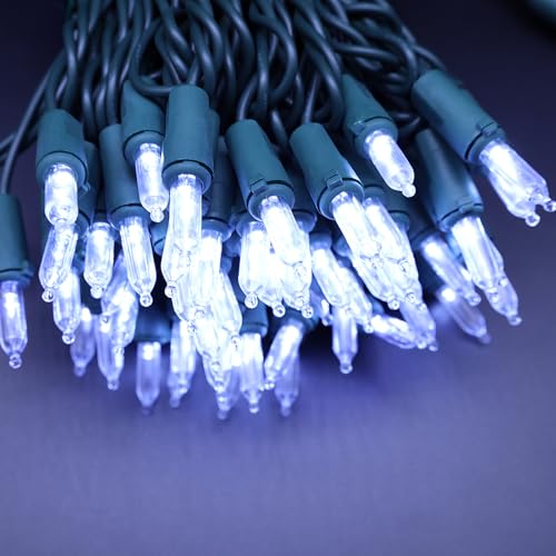 100 LED Warm White Christmas Lights on Green Wire