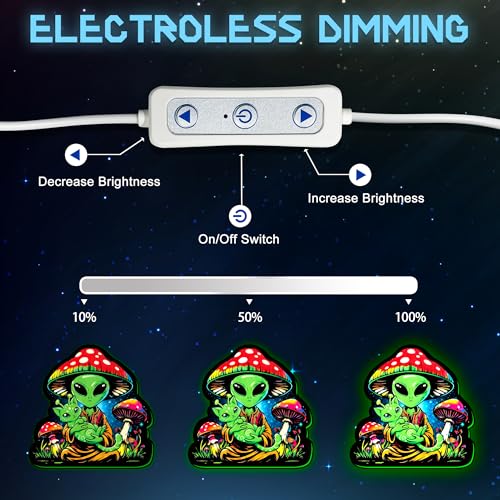 LED Light Box