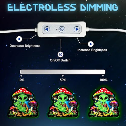 LED Light Box
