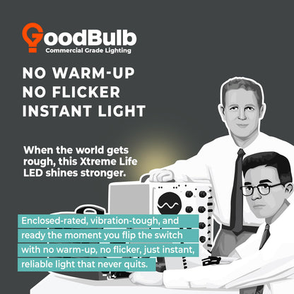 Made in USA A19 LED Light Bulbs (Cool White)