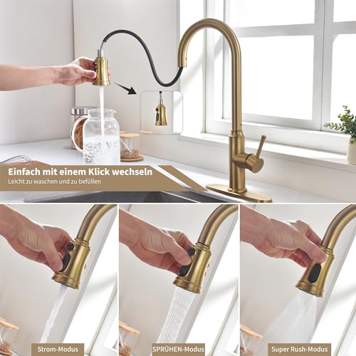 Kitchen Faucet with Pull Down Sprayer
