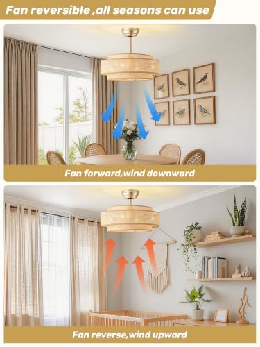 20" Boho Ceiling Fan with Light