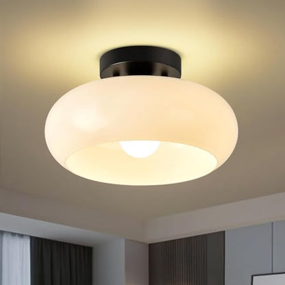 Moredern Black Ceiling Light0 00001