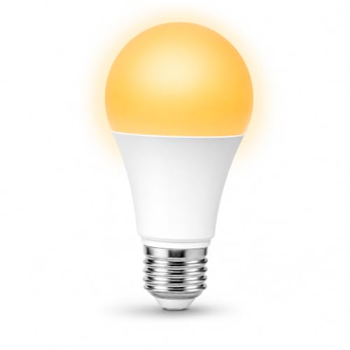 Night Lamp LED