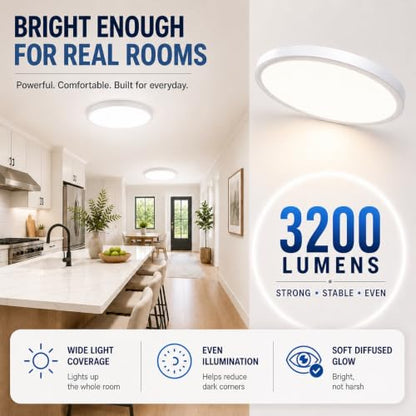 Ceiling Lights