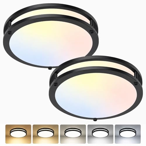 Ceiling Lights