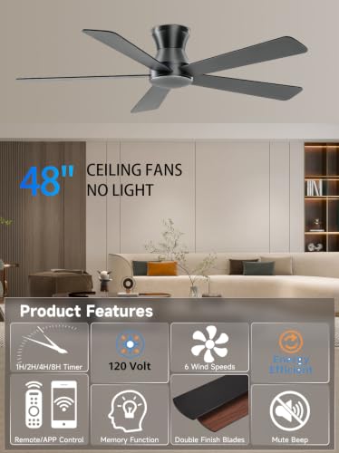Ceiling Fan No Light