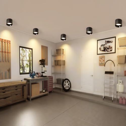 Flush Mount Ceiling Light Fixture
