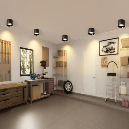 Flush Mount Ceiling Light Fixture