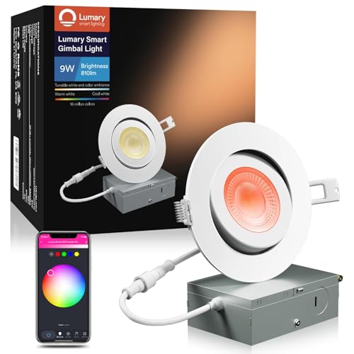 Smart Gimbal Recessed Lighting 4 Inch (4 Inch-1 Pack)