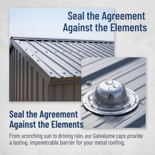 Metal Roof Screw Caps