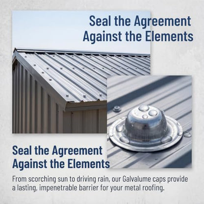 Metal Roof Screw Caps