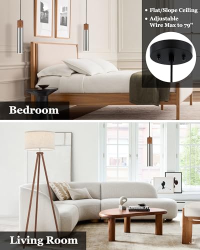 Modern Pendant Light