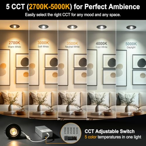 LED Recessed Light