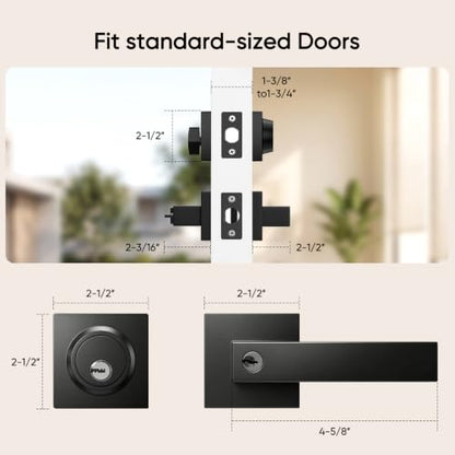 Exterior Door Lock Set
