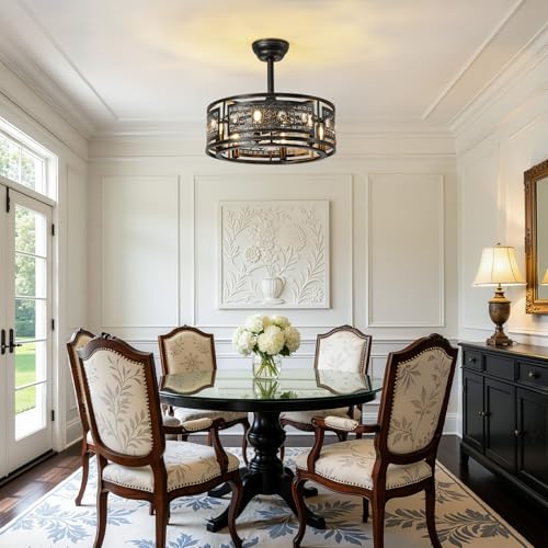 Caged Ceiling Fan with Light