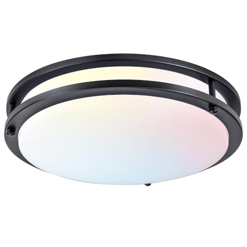 Flush Mount Ceiling Light