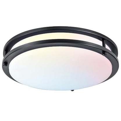 Flush Mount Ceiling Light