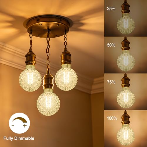G95 6W 2700K Dimmable Light LED Bulb