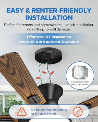Ceiling Fans with Lights